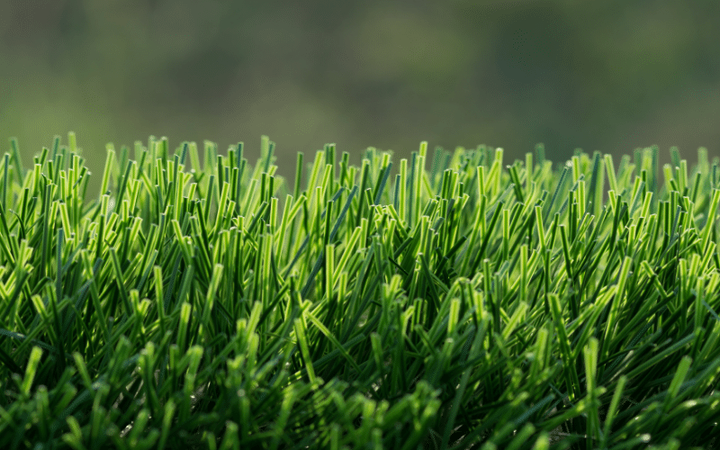 closeup-view-of-artificial-grass